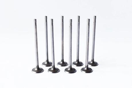 Клапан впускний 8 шт Logan I, II, Sandero II, Clio, Kangoo I, Symbol/Thalia II 1.0,1.2,1.2 16V ASAM 55828