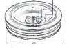 Шкив ремня генератора ASHIKA 122-05-500 (фото 4)