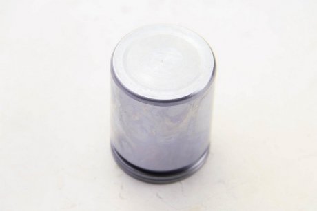 Фото 1 - поршень супорта перед Daily 00-06 44x55,1 AUTOFREN D025630 Поршень супорта перед Daily 00-06 44x55,1 AUTOFREN D025630 (фото 1)