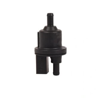 Клапан зворотнiй Bapmic BF0424310050