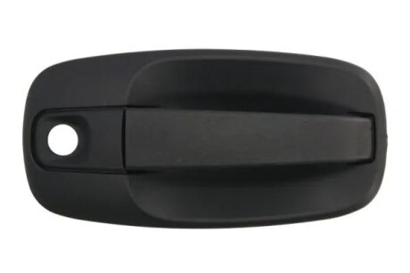 Зовнішня ручка дверей BLIC 601009041410PP