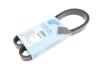 Ремень поликлиновый 6PK1105 BLUE PRINT AD06R1105 (фото 1)