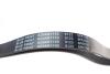 Ремень поликлиновый 6PK1105 BLUE PRINT AD06R1105 (фото 2)