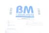 Фільтр сажі BM CATALYSTS BM80621H (фото 2)