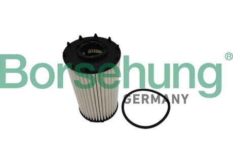 Фільтр оливний Borsehung B10449