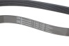 Роликовый модуль натяжителя ремня (ролик, ремень) Contitech 6PK1130K3 (фото 3)
