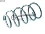 Пружина подвески передняя HYUNDAI Accent III (05-) (14.870.747) CS Germany 14870747 (фото 1)