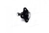 Опора шаровая нижняя R VW Golf 4 97-05 SKODA 96- (выр-во) CTR CBVW-5R (фото 2)