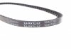 Ремень 10X730 AUDI 100 1,8 82-90 SEAT Toledo 1,6-2,0 VW Jetta... DAYCO 10A0730C (фото 4)