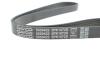 Ремень 5PK1072 TOYOTA Corolla 1,3 92-97 [-] DAYCO 5PK1072S (фото 4)