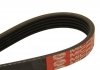 Ремень DAYCO 5PK1613 (фото 2)
