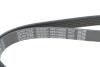 Ремень поликлиновой DAYCO 6PK1090EE (фото 4)