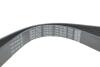 Ремень поликлиновый DAYCO 7PK1051EE (фото 4)