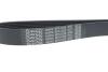 Ремень поликлиновый DAYCO 8PK1226 (фото 4)