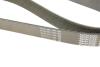Ремень поликлиновой DAYCO 8PK2190 (фото 5)