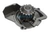 DAYCO CITROEN Помпа воды C5 08-,Jumpy 2.0HDI 10-,Peugeot 2.0HDi,Ford Focus,Kuga,Mondeo 2.0TDCi DP224