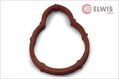 Прокладка впускного колектора Elwis Royal 0246830