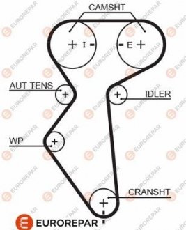 Ремень ГРМ Eurorepar 1633132580
