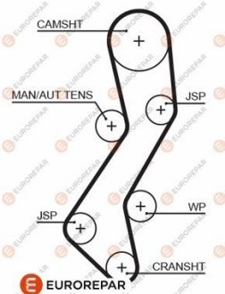 РЕМІНЬ ГРМ Eurorepar 1633136880