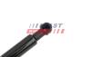 Амортизатор багажника Renault Megane Scenic II 03-09 FAST FT00193 (фото 4)