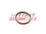 Прокладка IN кол. Citroen C3/C4 Aircross/Picasso 1.6HDI 09- FAST FT49418 (фото 1)