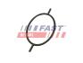 Прокладання вакуумного насоса Ford Focus/Connect/Escort/Mondeo 1.8D/1.8TD/1.8TDCI FAST FT49923 (фото 1)