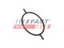 Прокладання вакуумного насоса Ford Focus/Connect/Escort/Mondeo 1.8D/1.8TD/1.8TDCI FAST FT49923 (фото 2)