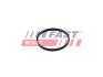 Прокладка клапана EGR VW CADDY 2.0TDI 14- FAST FT50602 (фото 1)