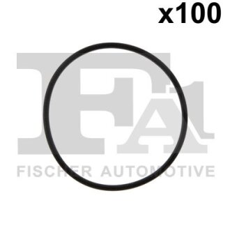 Кольцо резиновое Fischer Automotive One (FA1) 076.672.100