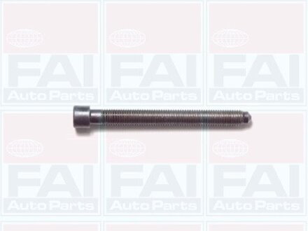 К-кт болтів Г/Б (10шт) 1.8 VW Passat B5 /Audi A4, A6 Fischer Automotive One (FA1) B1006