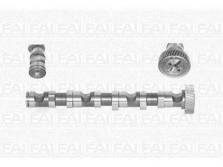 Розподільчий вал Audi A4, A6 99-03 Skoda Super B /WV Passat 97-05 Fischer Automotive One (FA1) C246