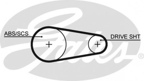 Пас ГРМ Gates 5204XS (фото 1)