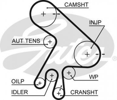 Пасок ГРМ Toyota Avensis/RAV 4 2.0D 99- Gates 5562XS