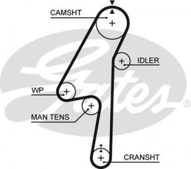 Ремень ГРМ Gates 5580 XS