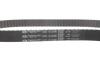 К-кт ГРМ Citroen Jumpy/Peugeot Expert 2.0HDi 07- Gates K015672XS (фото 10)