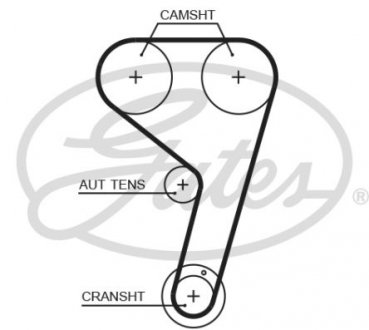 Пас ГРМ з довжиною кола понад 60 см, але не більш як 150см Gates T359HOB (фото 1)