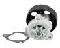 NISSAN Помпа воды Primera,X-Trail 2.0 01-,Renault Koleos 2.5 08- JAPANPARTS PQ-176 (фото 2)