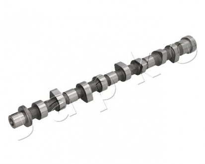 Розподільний валу впускний Renault/Opel/Nissan 2.5 dCi (01-15) JAPKO 6NS005