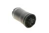 Подушка пневмоподвески. MAGNETI MARELLI 350072600002 (фото 3)