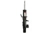 Амортизатор MAGNUM TECHNOLOGY APB006MT (фото 1)