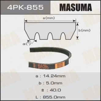 Ремінь поліклінової 4PK- 855 (4PK-855) MASUMA 4PK855