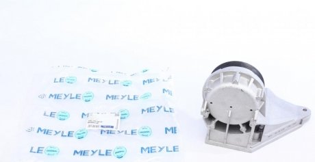 Опора двигателя AUDI (выр-во) MEYLE 100 199 0018 (фото 1)
