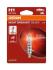 Автомобільна лампа OSRAM 64150NBS-1BL (фото 1)