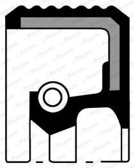 Сальник PSA 61X75X8 / ASW RD PTFE/ACM Payen NA5363 (фото 1)