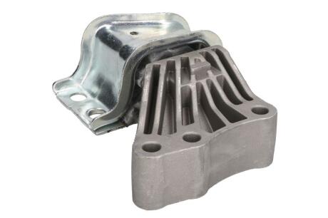 Кріплення двигуна Reinhoch RH111090