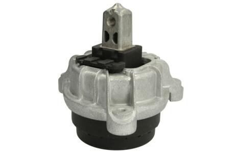Кріплення двигуна Reinhoch RH113048