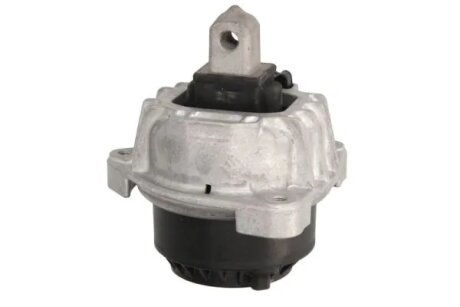 Кріплення двигуна Reinhoch RH113083