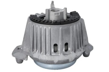 Кріплення двигуна Reinhoch RH113119