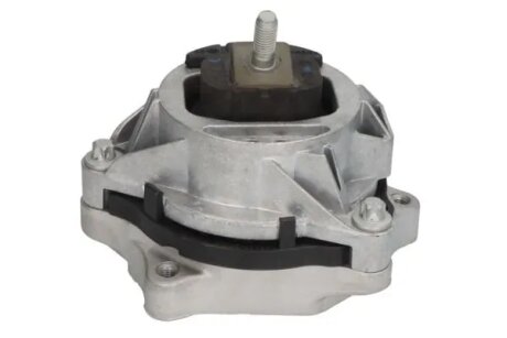 Кріплення двигуна Reinhoch RH113134