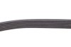 К-кт (ролик+6PK1200) Clio III 1,4 16V 05- 1,5dCI 05- Dacia Logan 1,5dCI 07- RENAULT 117202506R (фото 6)